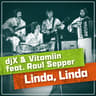 djX & Vitamiin feat. Raul Sepper - Linda, Linda